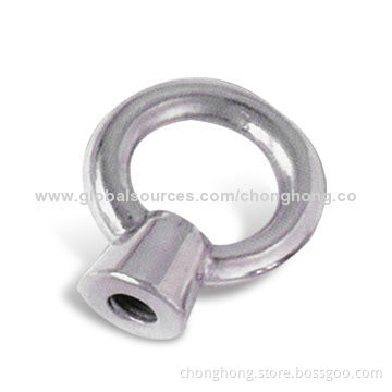 Stainless Steel Eye Nut with DIN580/DIN582 Standard, Available in M6 to M60 Size